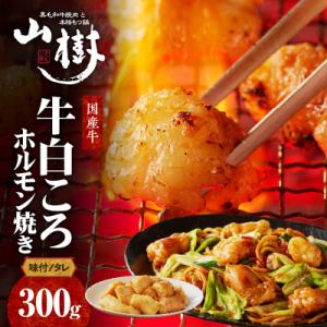 山樹の国産牛白ころホルモン焼き(丸腸)味付　300g[047R19]