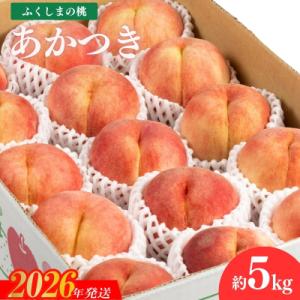 【2026年発送　先行受付】福島のもも　あかつき　約5kgNo.2041