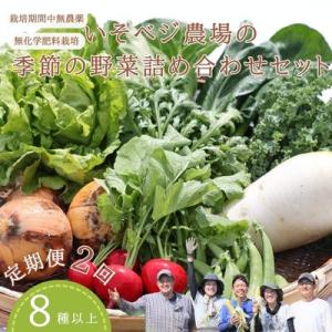 ふるさと納税 佐久穂町 季節の野菜詰め合わせセット　2回定期便〔IV-02〕｜y-sf