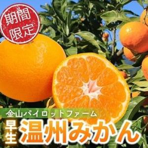 【2026年11月ごろから順次発送予定】金山パイロットファームの【温州みかん5kg(早生)】
