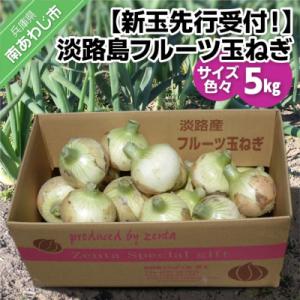 【新玉先行受付・サイズ色々】淡路島フルーツ玉ねぎ5kg ◆配送3月中旬～6月中旬