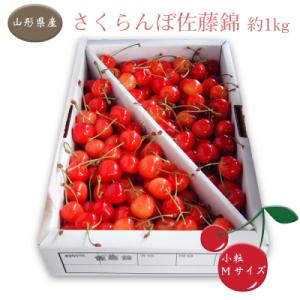 ふるさと納税 長井市 「秀品」さくらんぼ佐藤錦1kg(M・バラ詰)_H036
