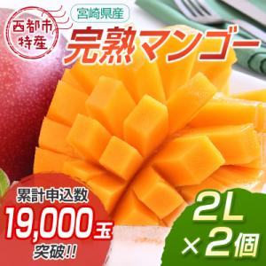ふるさと納税 西都市 宮崎県完熟マンゴー2玉計約700g(2L×2個)西都市特産品【先行受付】[1904]