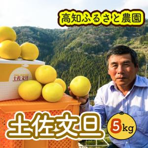 ふるさと納税 いの町 土佐文旦贈答用約5kg(高知ふるさと農園)　