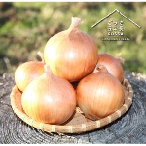 ふるさと納税 淡路市 五斗長たまねぎ 20kg(10kg箱×2)