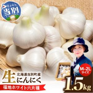 【令和8年発送先行受付】生にんにく(福地ホワイト六片種)1.5kg_tb22-004