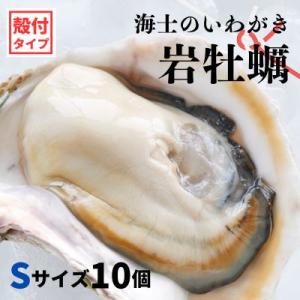 ふるさと納税 海士町 【のし付き】いわがき春香 1.7kg〜2.3kg Sサイズ10個 岩牡蠣 牡蠣...