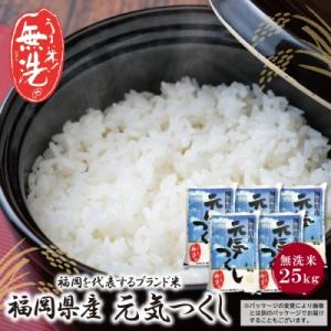 寄附額改定↓↓ 令和7年産 無洗米 元気つくし25kg