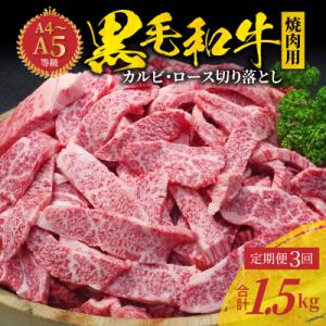 ふるさと納税 天草市 【定期便3回】黒毛和牛 焼肉 カルビ ロース 切り落とし 500g_S001-...