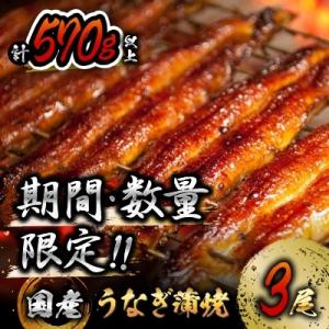 ふるさと納税 都農町 《期間・数量限定》うなぎ蒲焼3尾(計570g以上)国産鰻(ウナギ・さんしょう・たれセット)