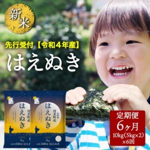 ふるさと納税 河北町 令和4年産【10月下旬開始コース】はえぬき計60kg定期便　山形県産【米comeかほく】