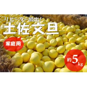 ふるさと納税 越知町 【2026年発送】(家庭用)土佐文旦(約5kg/8〜12玉) 　フルーツ 果物...