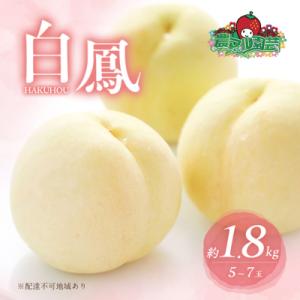 ふるさと納税 赤磐市 桃 白桃 白鳳 約1.8kg 5〜7玉 進物用 もも フルーツ 2026年[NO5765-0684]