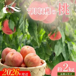 もも　7月収穫の桃　品種お任せ　約2kg【2026年発送】No.1757