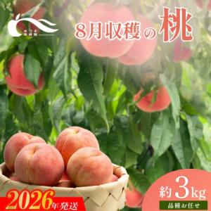 もも　8月収穫の桃　品種お任せ　約3kg【2026年発送】No.1760