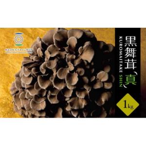 ふるさと納税 飯能市 黒舞茸「真」 1kg[52210652]