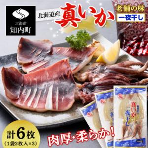 老舗の味 真いかの一夜干し 2枚入×3パック　＜秋元水産＞