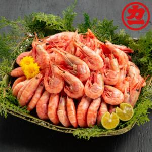 ふるさと納税 紋別市 ボイル甘えび1.5kg
