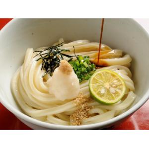 ふるさと納税 善通寺市 【1〜2ヶ月程度で発送】さぬき生うどん12食セット(2人前×6袋)｜y-sf