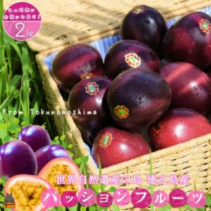 《今が旬!》太陽が育てた徳之島産パッションフルーツ(2kg)