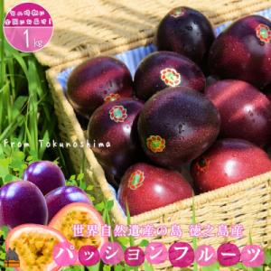 《今が旬!》太陽が育てた徳之島産パッションフルーツ(1kg)