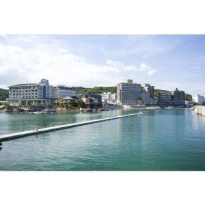 ふるさと納税 洲本市 ホテルニューアワジ 利用券(洲本温泉利用券):ML01