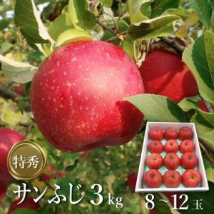 ふるさと納税 長井市 【2026年発送】「特秀」...の商品画像