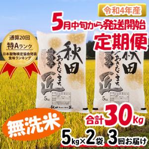 ふるさと納税 仙北市 【無洗米】秋田県産あきたこまち10kg一等米5kg×2袋米定期便3回匠 [No.5660-1142]