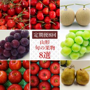 ふるさと納税 長井市 果物定期便8回(さくらんぼメロンシャインマスカットりんご洋梨)H139