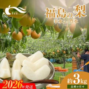 梨　品種おまかせ　(幸水又は豊水)約3kg【2026年発送】No.1765