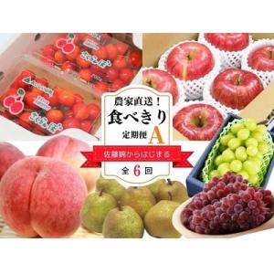 ふるさと納税 上山市 農家直送!食べきり定期便A　0127-2207