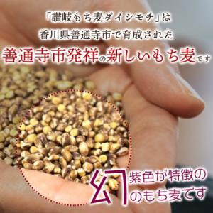 ふるさと納税 善通寺市 【生産者応援企画!】 ...の詳細画像1