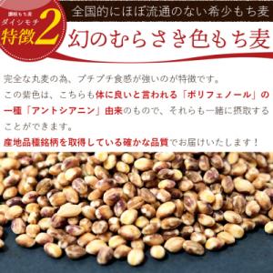 ふるさと納税 善通寺市 【生産者応援企画!】 ...の詳細画像3