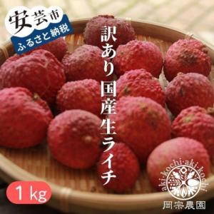 ふるさと納税 安芸市 訳あり国産生ライチ 1kg(25〜40玉程度)