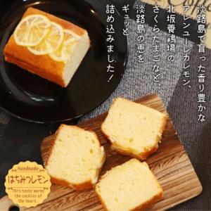 ふるさと納税 南あわじ市 【クオーレ】淡路島の...の詳細画像1