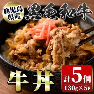 ふるさと納税 肝付町 黒毛和牛の牛丼(130g×5個) 　A91023