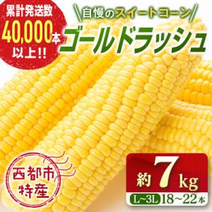 ふるさと納税 西都市 【約7kg・18〜22本】朝採れ!スイートコーン『ゴールドラッシュ』先行受付[...