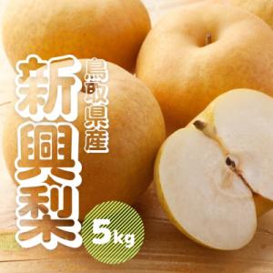 ふるさと納税 江府町 新興梨(しんこうなし)5kg 鳥取県産【先行受付2026年収穫分】ナシ 5キロ 0689 TM33