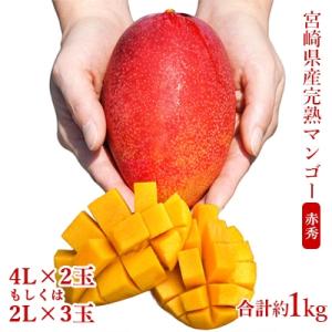 ふるさと納税 宮崎県 ◇宮崎県産完熟マンゴー[赤秀] 合計約1kg(2〜3玉)