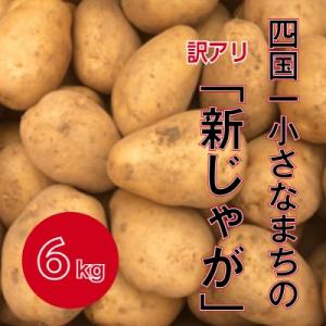 【四国一小さなまち】★先行受付:5月発送★大野台地で採れた令和5年産『新じゃが』6kg　訳アリ品