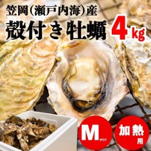 ふるさと納税 笠岡市 笠岡産殻付き牡蠣(3月)