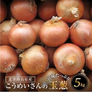 ふるさと納税 淡路市 こうめいさんの玉葱5kg　ak09803