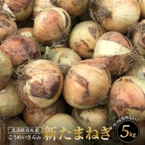 【新たまねぎ】こうめいさんの玉葱5kg【発送時期:4月下旬～6月上旬頃】　ak09007