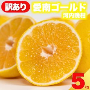 ふるさと納税 愛南町 先行受付 訳あり 愛南ゴールド ( 河内晩柑 ) 5kg 減農薬 愛媛県 愛南...