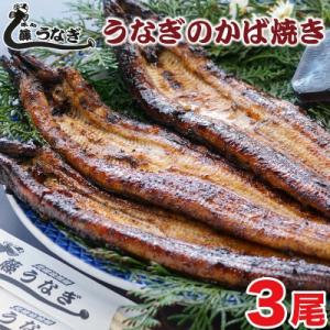 ふるさと納税 西都市 藤うなぎ　かば焼き　3尾　国産うなぎ 宮崎 蒲焼 鰻[1160]