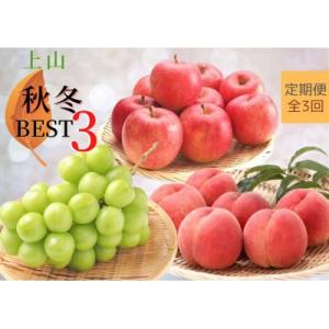 ふるさと納税 上山市 【定期便:全3回】上山秋冬ベスト3　0127-2214