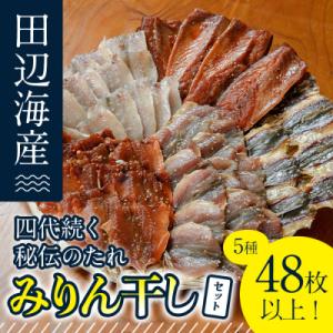 四代続く秘伝のたれ みりん干しセット (合計5種・48枚以上)
