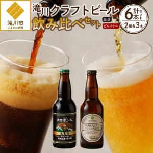 ふるさと納税 滝川市 【滝川クラフトビール】ピルスナーと黒ビールの飲み比べセット