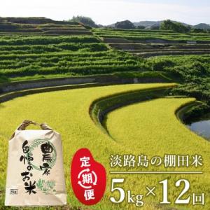 【定期便】淡路島の棚田米 5kg×12回(毎月発送)　ae01085