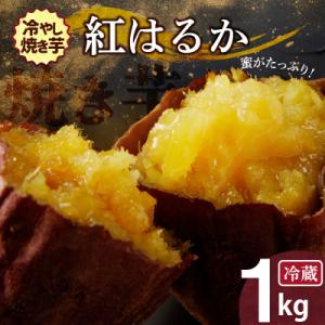 ふるさと納税 碧南市 焼き芋 蜜たっぷり!冷やし焼き芋 ひえひえ君 紅はるか 1kg(500g×2)...